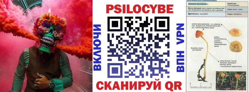 Галлюциногенные грибы ЛСД  Купить  Мамадыш 